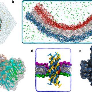 Image result for Molecular dynamics Applications