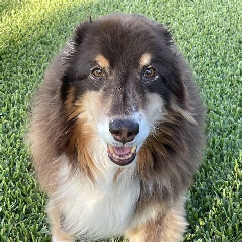 Model Ruby Mae 的图像结果