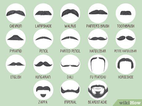 The Ultimate Guide to Mustache Styles: 18 Trendy Looks