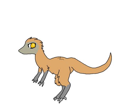 Compy Comp 的图像结果