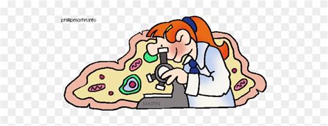 Biology Clip Art 的图像结果