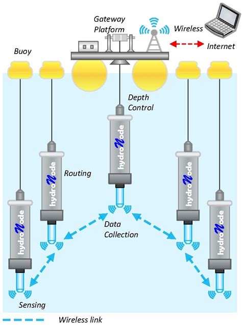 Network System 的图像结果