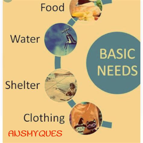 Image result for Satifying Basic Need