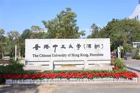 香港中文大学(深圳)校长徐扬生：知识分子的家国情怀 —中国教育在线