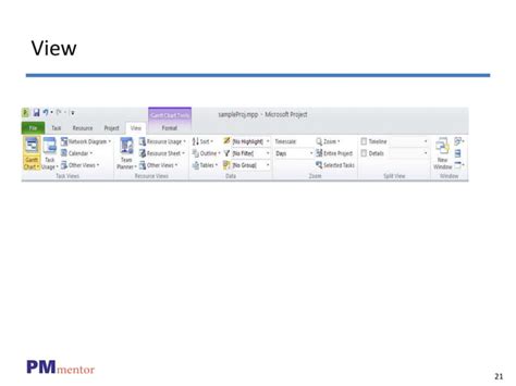 Image result for MS Project Layout