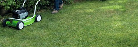 Tosaerba mulching: tagliare l'erba senza cesto di raccolta  