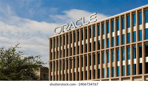 Image result for Oracle Oracle Images