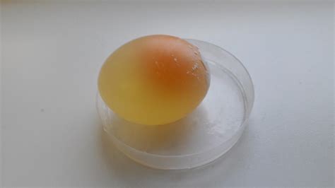 Image result for Egg without Shell Chicks