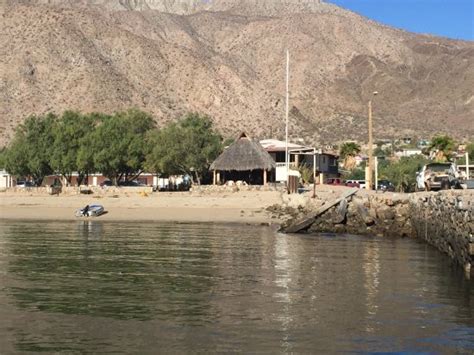 GUILLERMO'S HOTEL (Bahia de Los Angeles) - Hotel Reviews & Photos ...