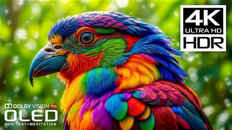 Image result for What Is a Scope in JavaScript