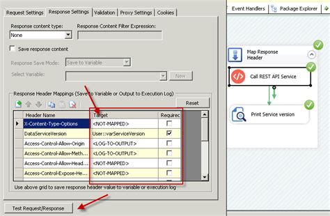 Image result for SSIS REST API Example