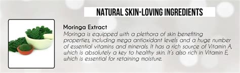 The EnQ Magical Moringa Facial Cleanser Natural Cleansing Milk With ...