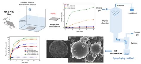 Poly(Lactic Acid) Block Copolymers with Poly(Hexylene Succinate) as ...