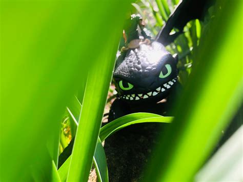 Image result for Toothless Httyd Halter