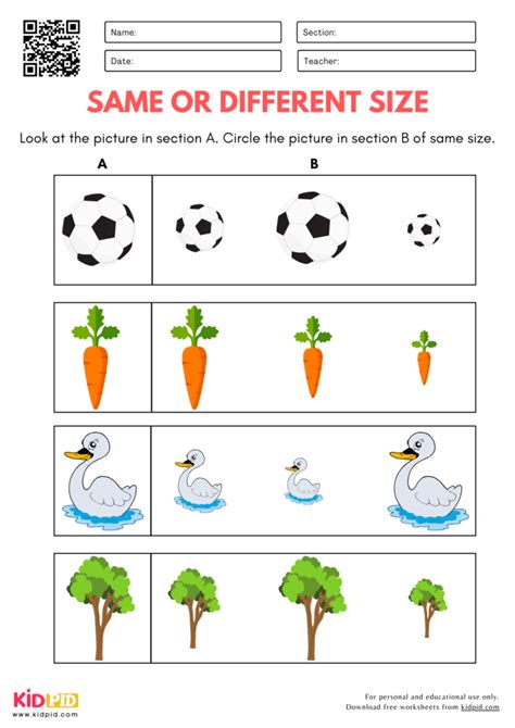 Same Size Worksheet 的图像结果