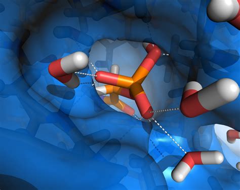 Image result for PyMOL Ray Tracing