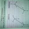 newman's representation and sawhorse representation of Ethane - Brainly.in