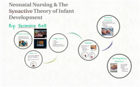 Image result for Synactive Tutorial