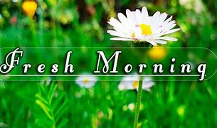 Image result for Good Morning Spring Scenic Pics