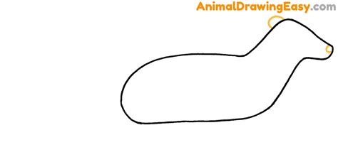 Image result for Arctic Fox Drawing Tutorial