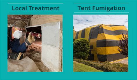 Tent Fumigation vs. Local Treatment - Termite Control | Native Pest ...