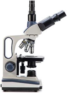 Image result for Compound vs Dissecting Microscope
