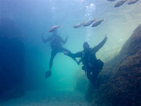 4ALLDIVERS (2026) All You Need to Know BEFORE You Go (with Photos ...