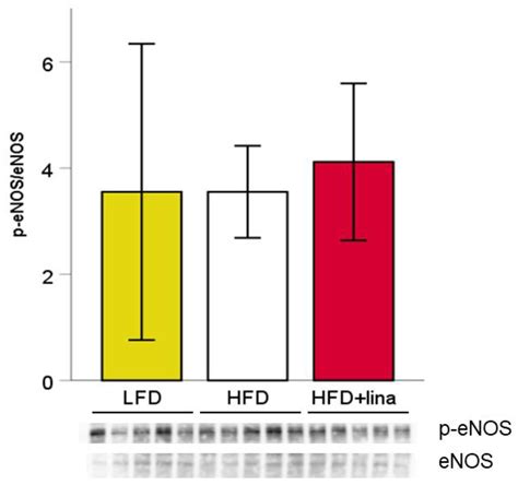 The Dipeptidyl Peptidase-4 Inhibitor Linagliptin Ameliorates High-fat ...