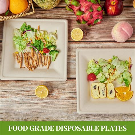 Buy ECOLipak 100 Pack Compostable Square Plates, 10 inch Disposable ...
