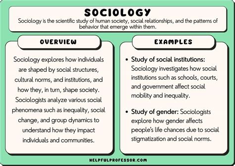 Social Structures Examples 的图像结果