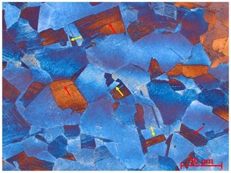 The Influence of Specimen Geometry and Strain Rate on the Portevin-Le ...