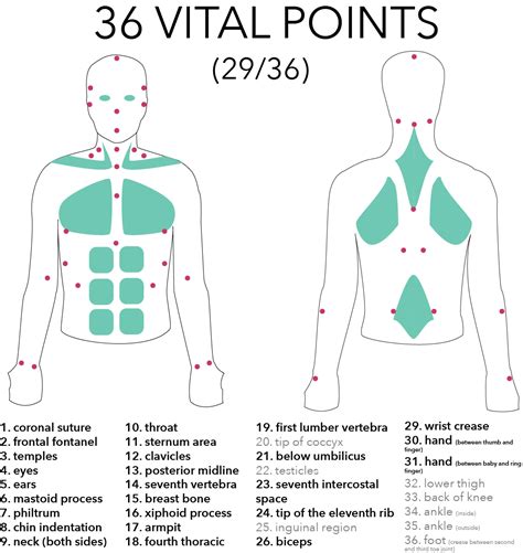 [DIAGRAM] Spine Pressure Points Diagram - MYDIAGRAM.ONLINE