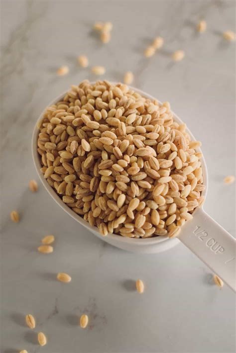 A Complete Guide to Cooking with Barley • The Incredible Bulks