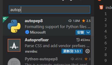 Auto HTML CSS JavaScript Vscode 的图像结果