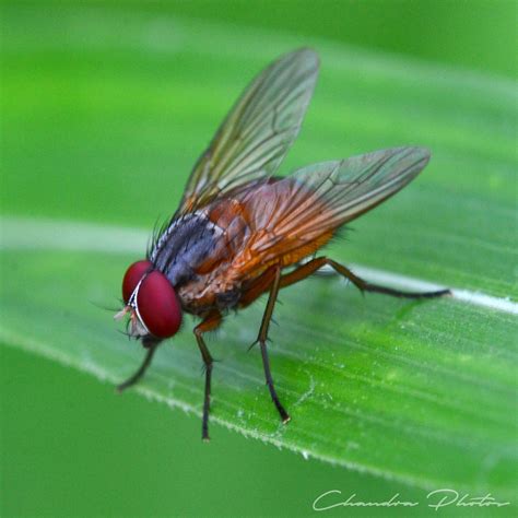 Fly With, Who Are You Flying With 違い – EKCVYK