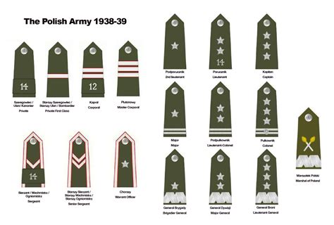 The Army: British Ranks In The Army
