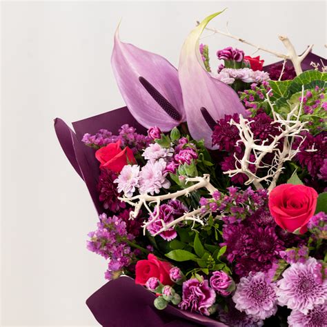 Buy Mauvelous Fresh Flowers in Bangalore - Farmerr – farmerr.in