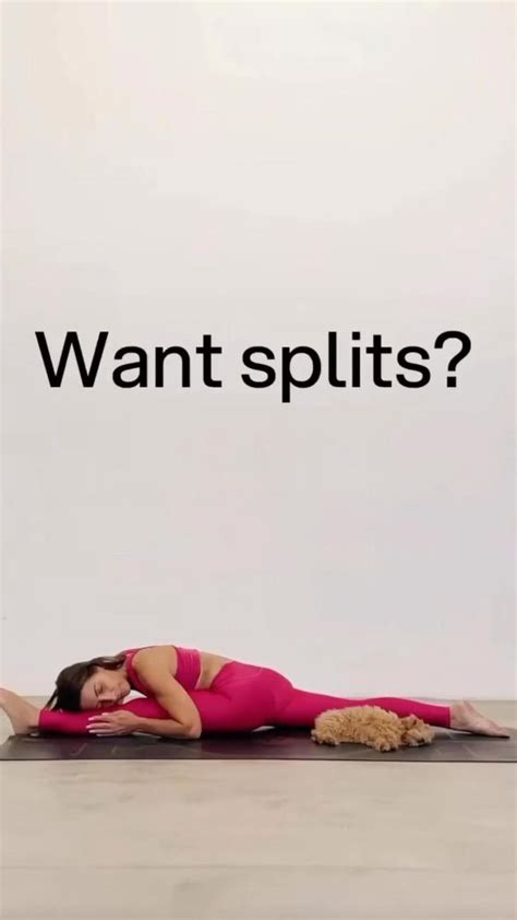 Splits Tutorial Yoga 的图像结果