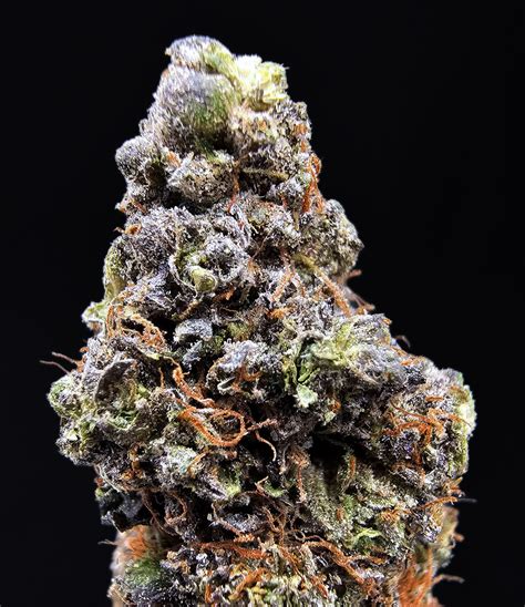 Space Runtz - Hybrid - Designer. **OUT OF STOCK** - District Connect ...