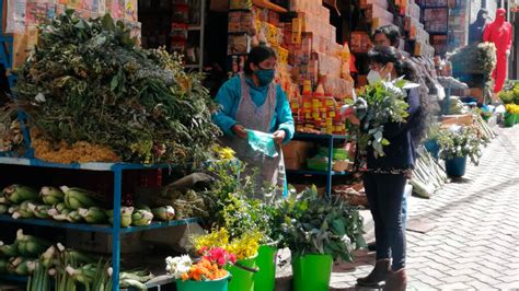 La medicina tradicional de los indígenas de Bolivia está en auge en ...