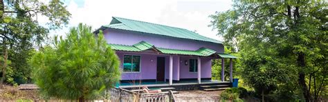 Stay at Beki Jungle Wood Resort