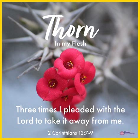 Thorn in the flesh bible verse scripture & how to deal with it ...