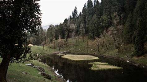 Alpine Climbers - Kedarkantha Trek