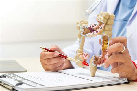 Appendicitis: Causes, Symptoms, Treatment & Recovery Guide