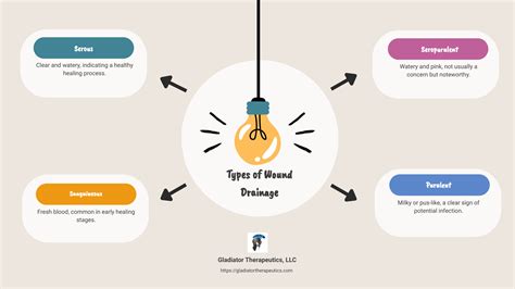 What are the Different Types of Wound Drainage: Top 4 Guide