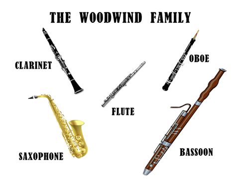 Woodwind Family Flute
