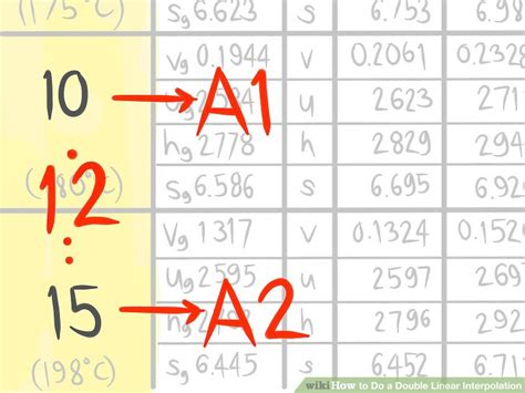 Double Linear Interpolation 的图像结果
