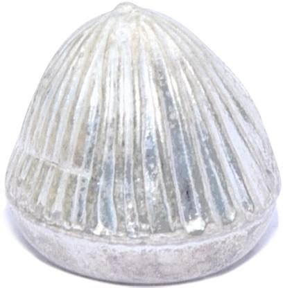 Pandit NM Shrimali Pure Silver Supari Hand Carved Chandi Betel Nut For ...