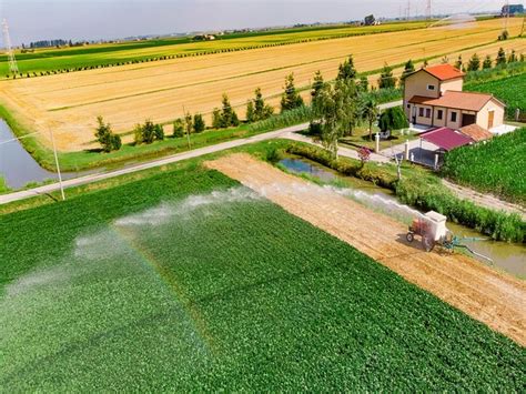 Standard digital camera, AI to monitor soil moisture for affordable ...