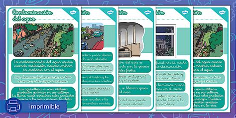 Pósters: Tipos de contaminación (teacher made) - Twinkl